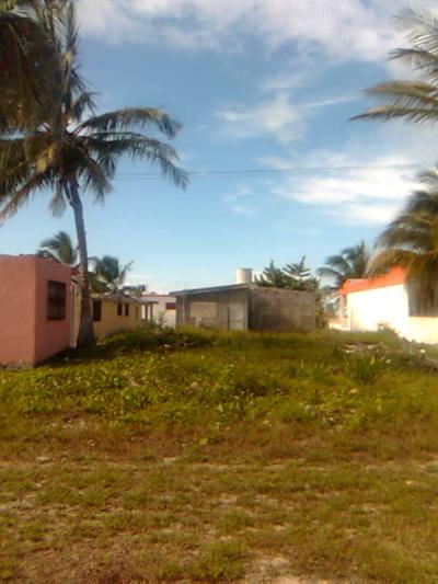 HOUSE NEED REMODELATION For sale in progreso, yucatan, Mexico - betwwen mojarra and pargo entrances